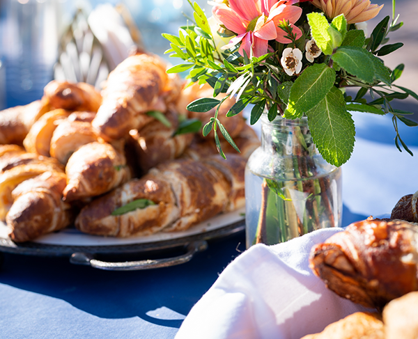 Tierfreunde Brunch